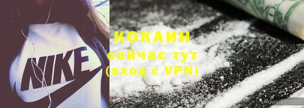 эйфоретик Ельня
