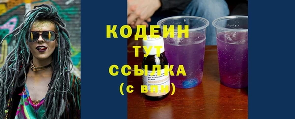 стаф Няндома