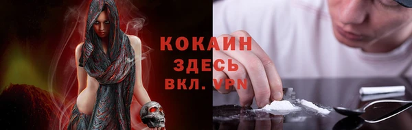 стаф Няндома