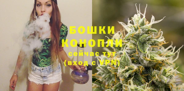 стаф Няндома