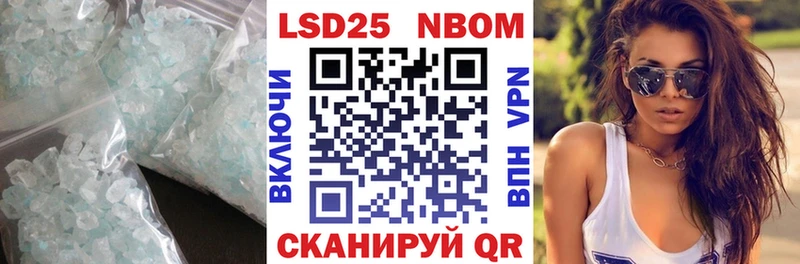 мориарти телеграм  Рошаль  ЛСД экстази кислота  как найти наркотики 